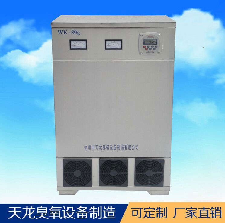 臭氧设备 外置消毒机80g 车间养殖场食品厂药厂消毒 厂家直销