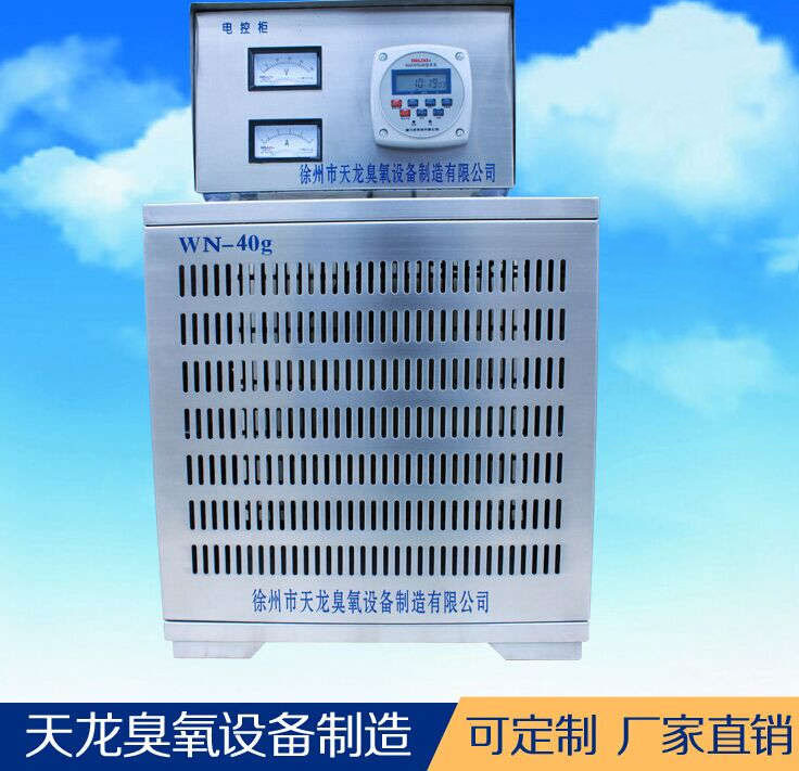 臭氧发生器 内置臭氧消毒机WN-40g 食品厂杀菌 净化空气 杀菌消毒