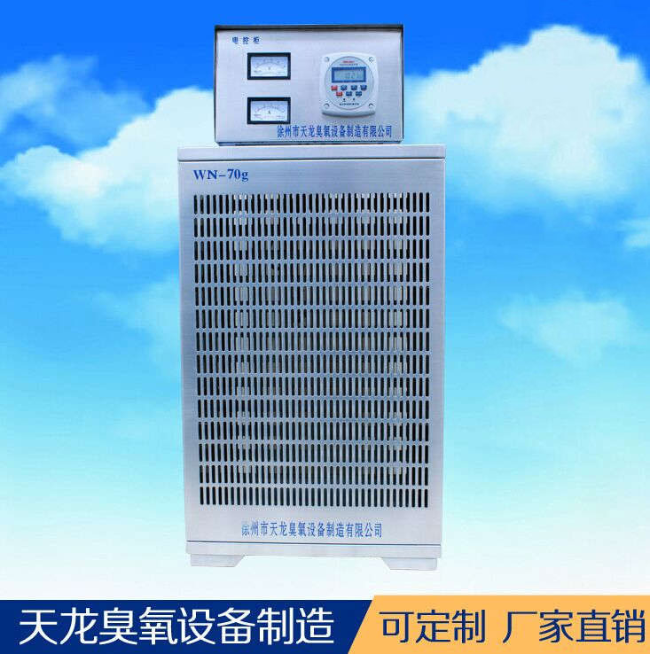 臭氧发生器 内置臭氧消毒机WN-70g 药厂车间食品厂消毒 厂家直销