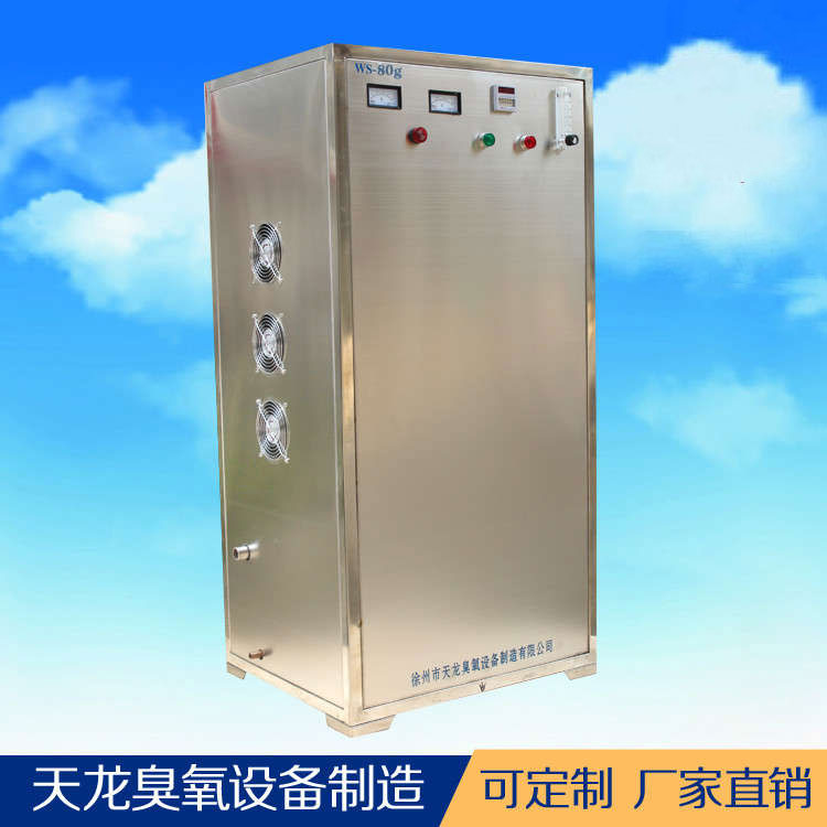 臭氧发生器 水处理消毒机WS-50g 生产厂家直销 质量保证