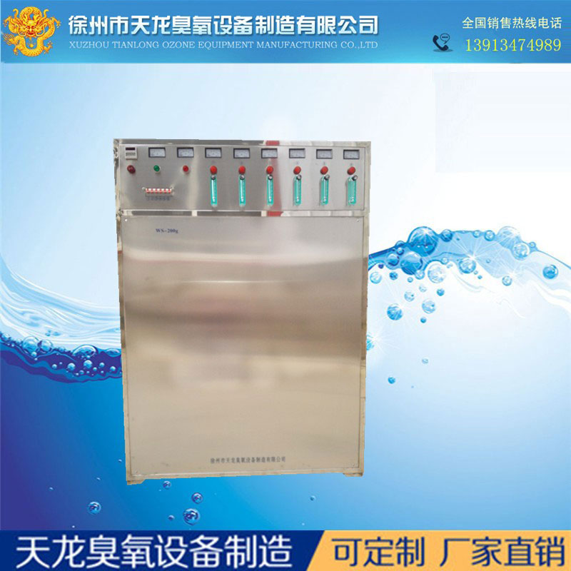 大型臭氧机 WS-300g 水处理 曝气式水消毒 臭氧发生器 污水处理