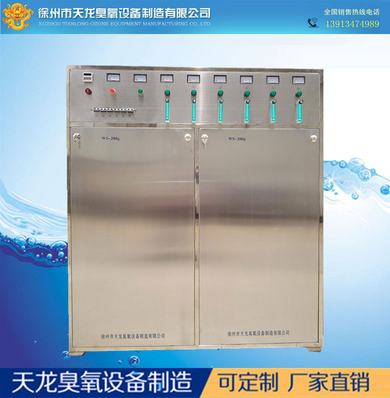 大型臭氧发生器内置制氧机水泵WS200g臭氧水消毒机高浓度臭氧设备