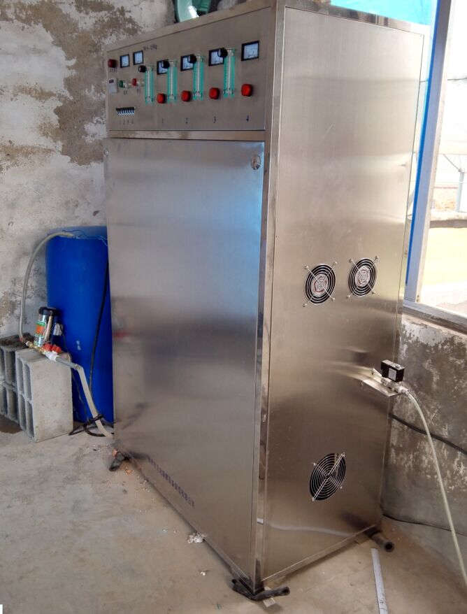 臭氧发生器WS-150g水消毒 水产养殖专用