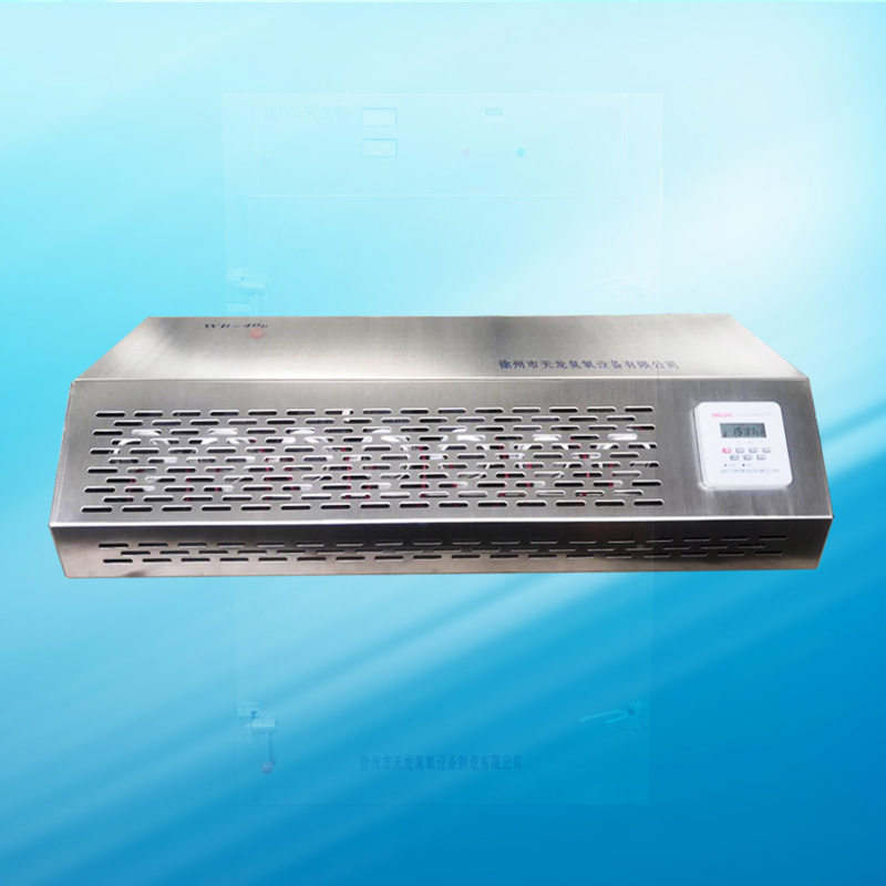 壁挂式臭氧机WB-30g 消毒杀菌净化空气除甲醛 车间药厂消毒