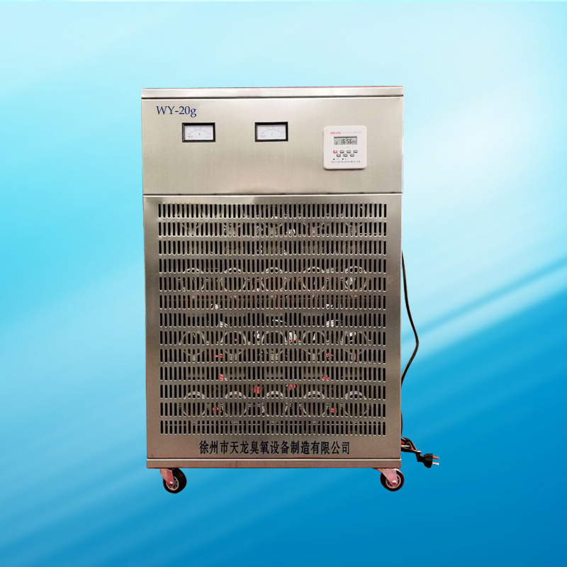 臭氧发生器 食用菌生产专用 移动式20g 臭氧发生器 厂家直销