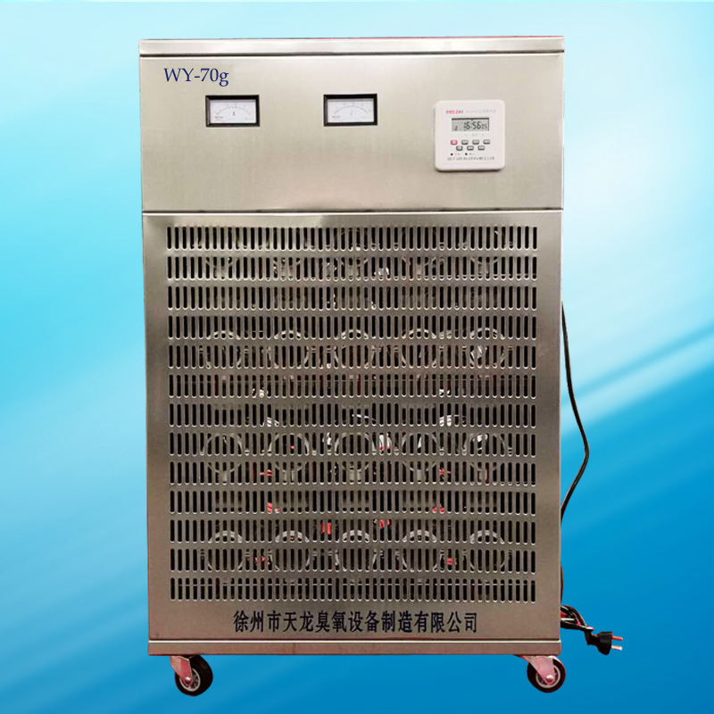 臭氧发生器 臭氧设备 WY-70g 食品厂 药厂 医院